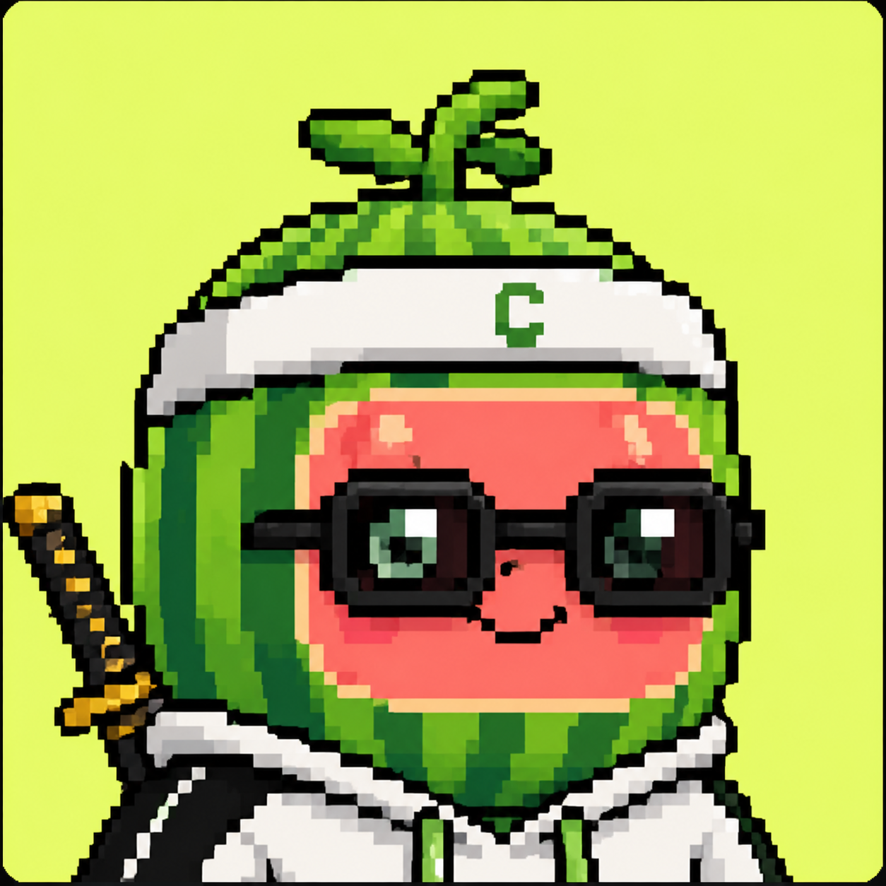 Cucumelon #003 pixel art NFT