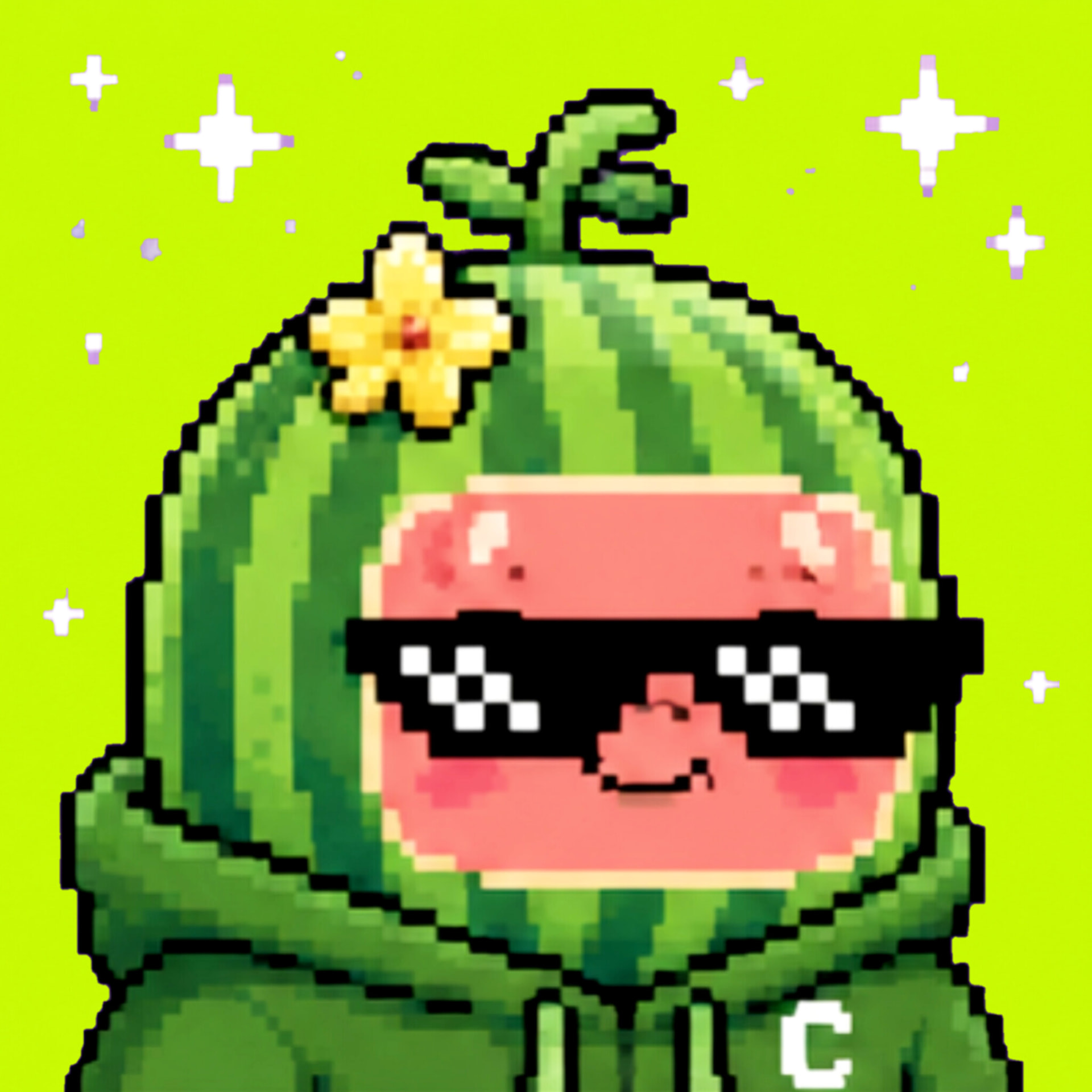 Cucumelon #004 pixel art NFT